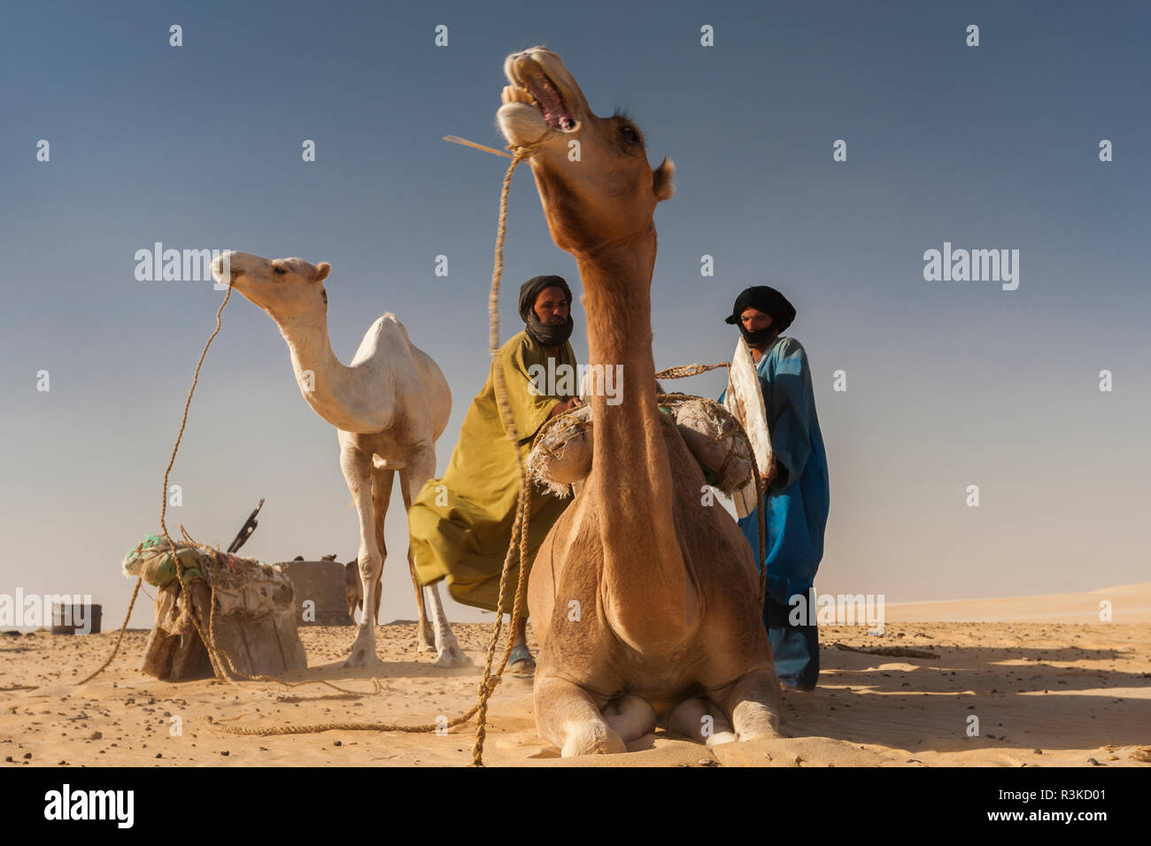 Una carovana di commercianti di sale e cammelli capi all'antica città di Timbuktu sul margine meridionale del grande deserto del Sahara, Mali. Foto Stock