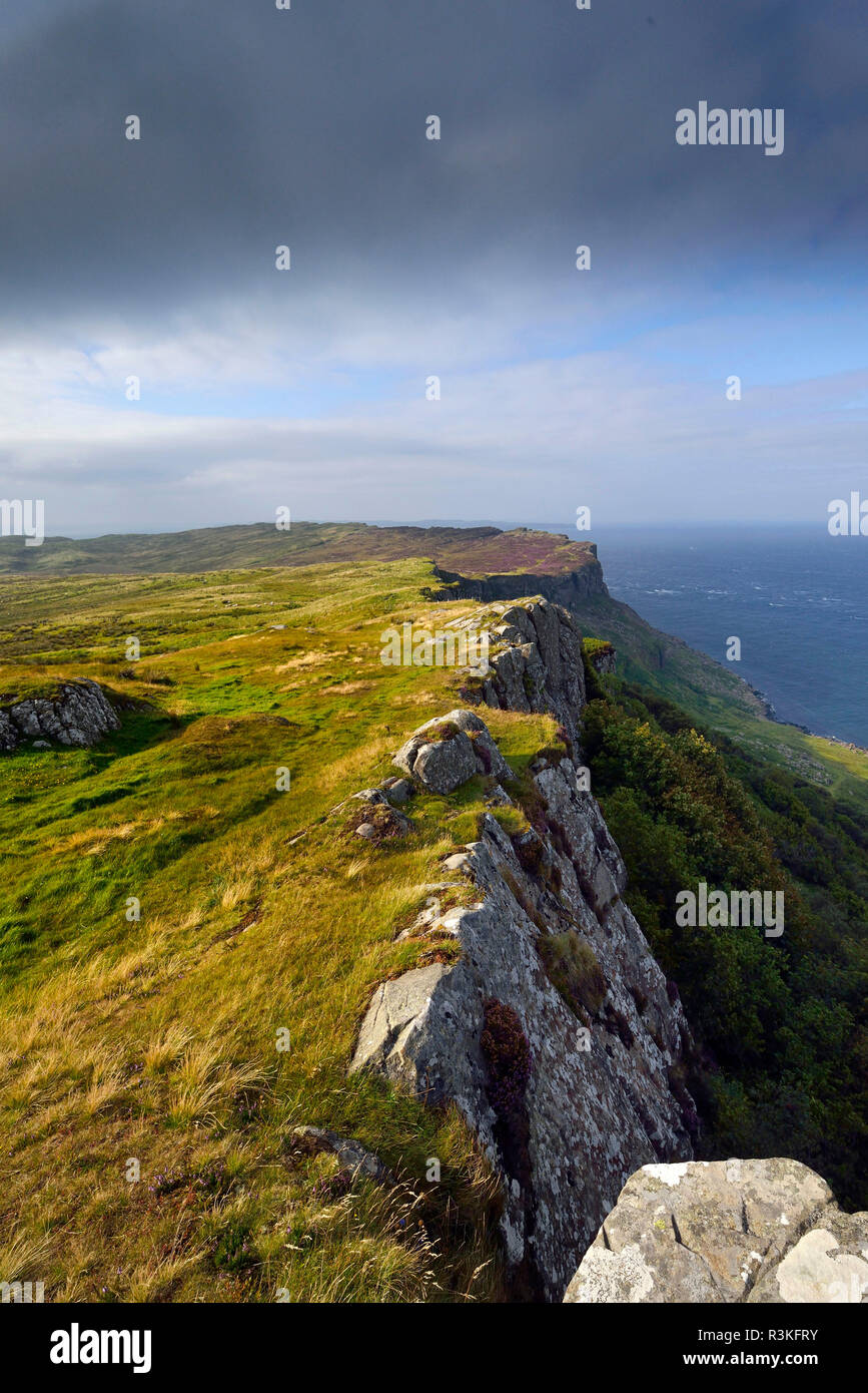 Irlanda, Ulster, County Antrim, Ballymoney, scuro siepi (le isole di ferro nel gioco di troni serie) Foto Stock