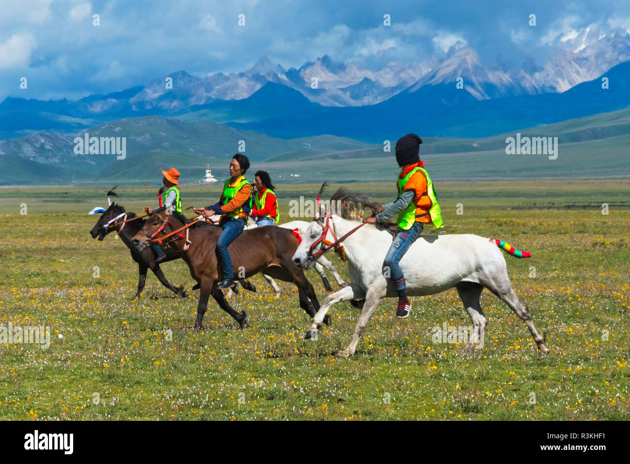 Corsa di cavalli in corsa di cavalli Festival, Litang, western Sichuan, Cina Foto Stock