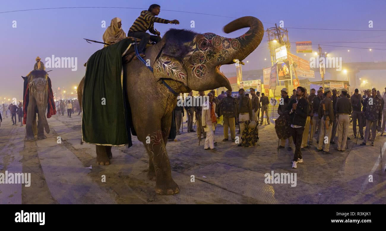 Mahouts sfilando dipinto elefanti, Allahabad, India Foto Stock