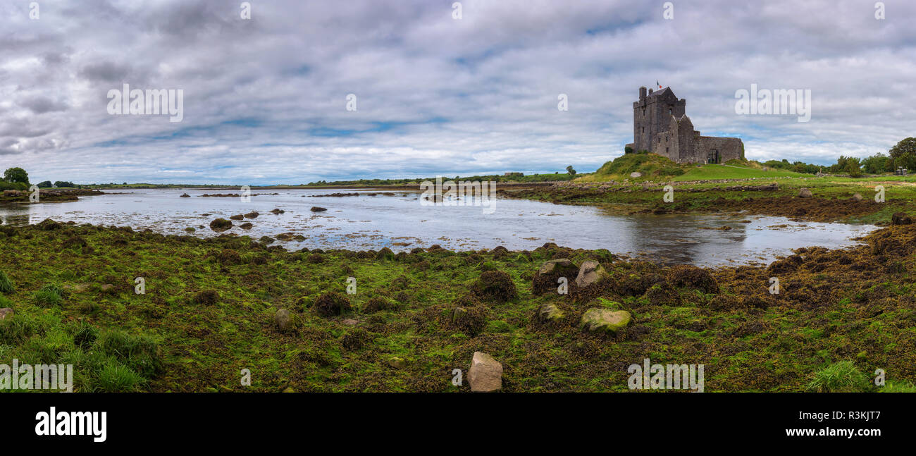 Dunguaire Castle, nella contea di Galway nei pressi di Kinvarra, Irlanda Foto Stock