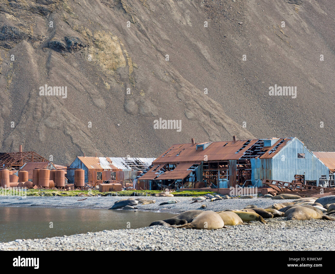 Rovine di Stromness stazione baleniera in Isola Georgia del Sud Antartide, Isola Georgia del Sud Foto Stock