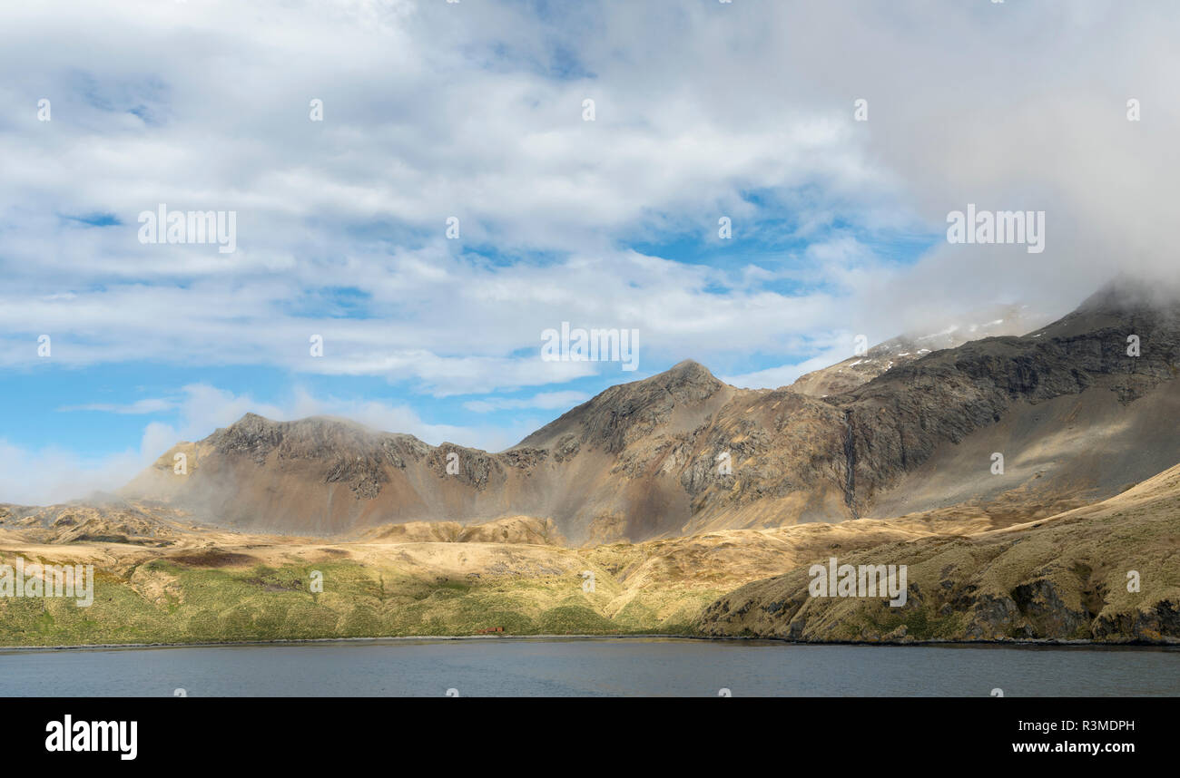 Ancoraggio Godthul sull Isola Georgia del Sud. I resti di una piccola stazione baleniera è ricoperta da una folta erba Tussock Antartide, Isola Georgia del Sud Foto Stock
