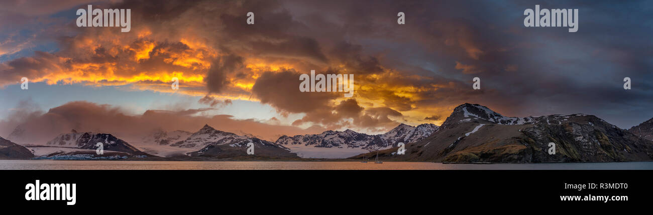 San Andres Bay sull Isola Georgia del Sud durante il tramonto. Sulla costa è una grande colonia di pinguini re (Aptenodytes Patagonicus) (solo uso editoriale) Foto Stock
