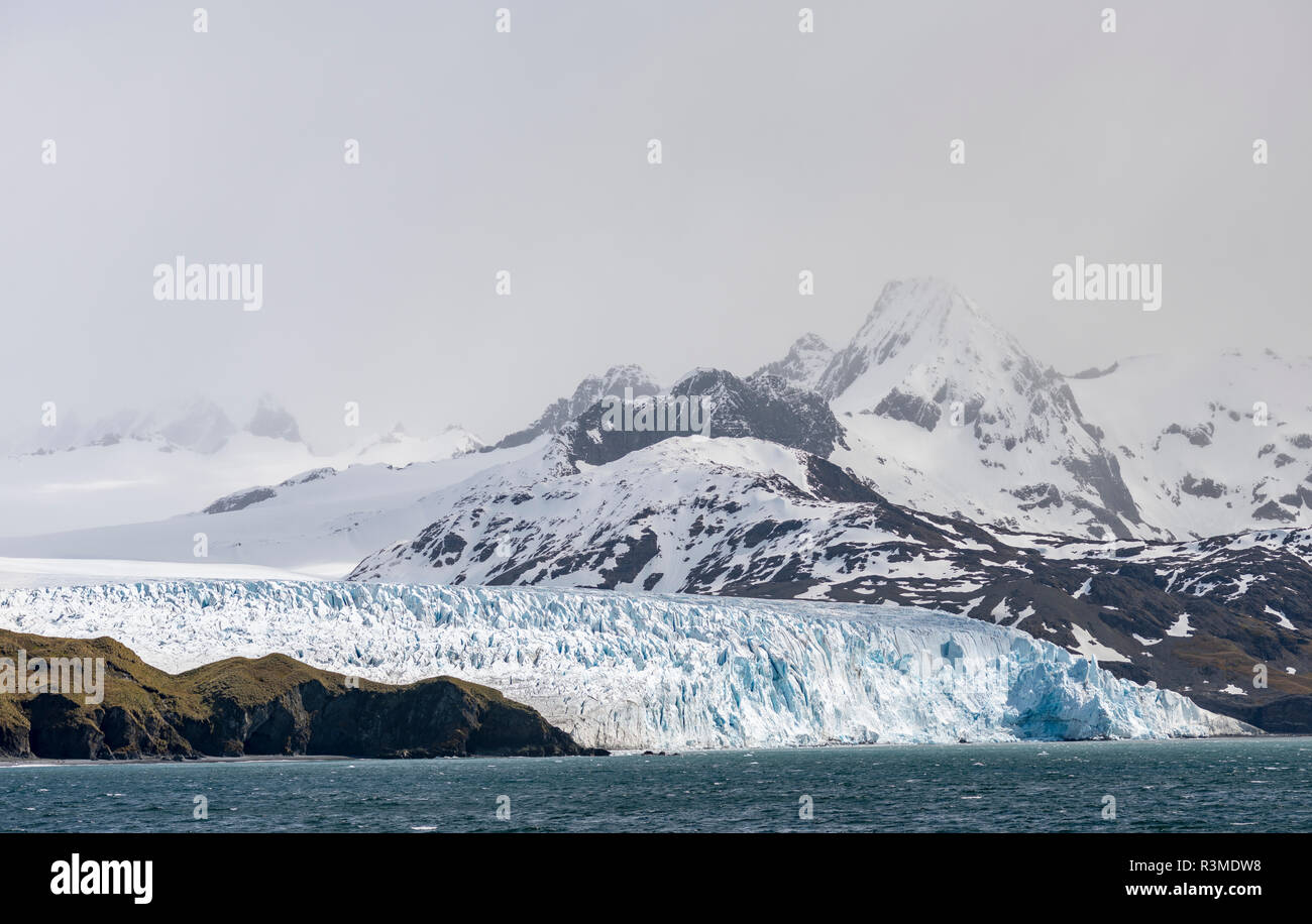 Fortuna ghiacciaio al Cape migliori. Isola Georgia del Sud Foto Stock