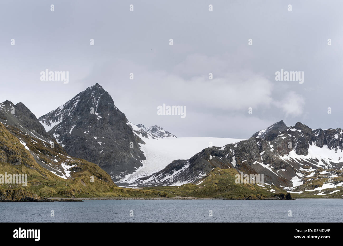 Cooper Bay all'estremità meridionale dell'Isola Georgia del Sud con Quensel ghiacciaio. Isola Georgia del Sud Foto Stock