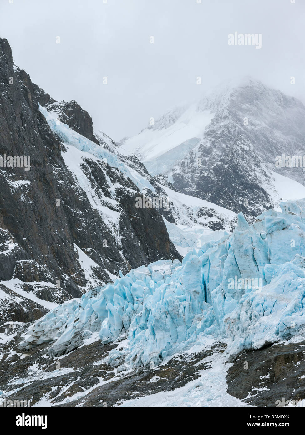 Ghiacciai del fiordo Drygalski all'estremità meridionale dell'Isola Georgia del Sud Foto Stock