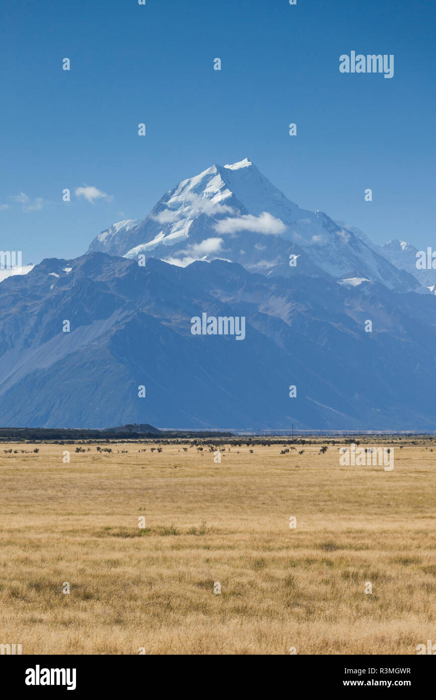 Nuova Zelanda, isola del sud, Canterbury, Aoraki-Mt. Cook National Park, Mt. Cuocere Foto Stock