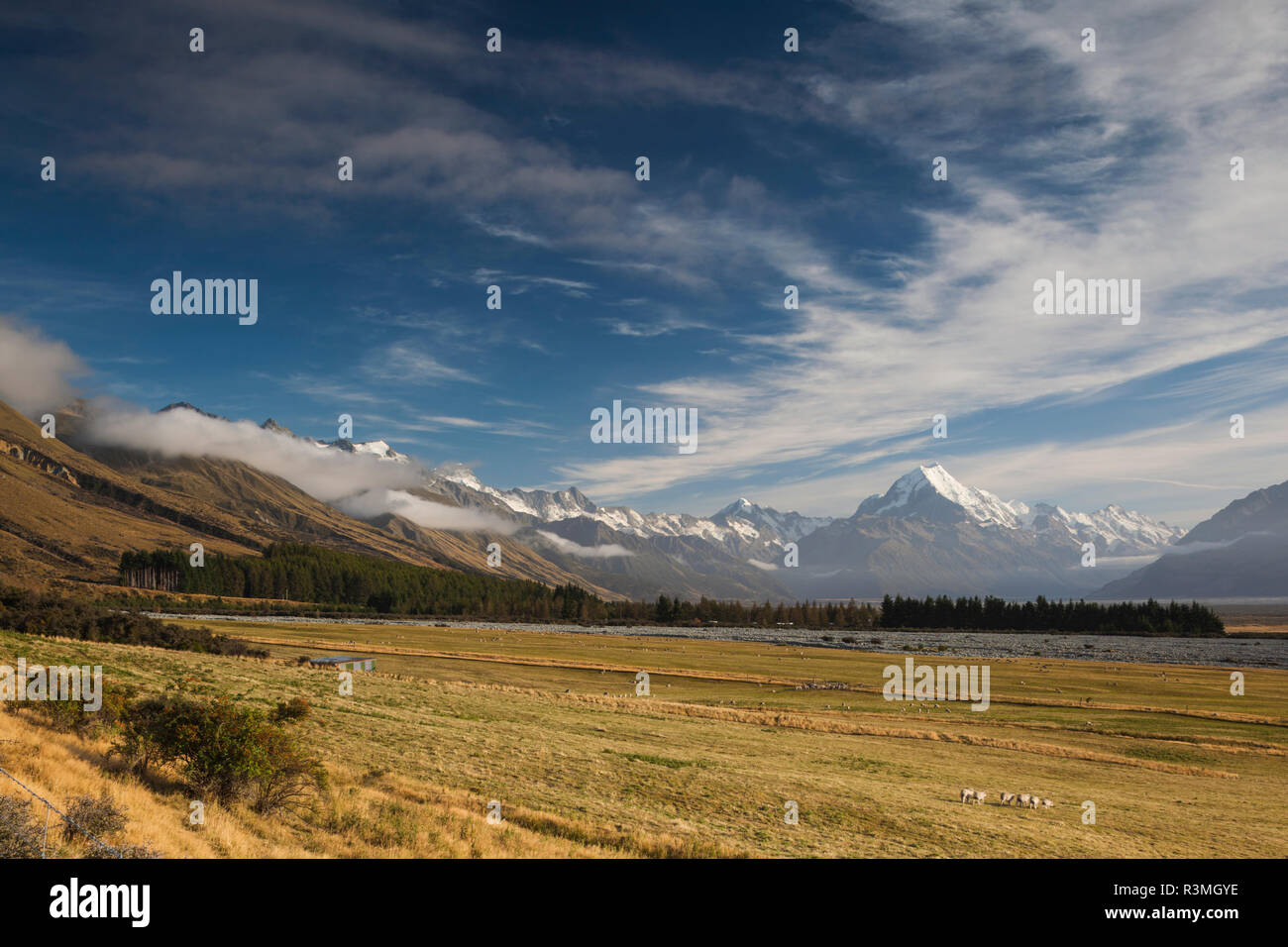 Nuova Zelanda, isola del sud, Canterbury, Aoraki-Mt. Cook National Park, Mt. Cuocere Foto Stock