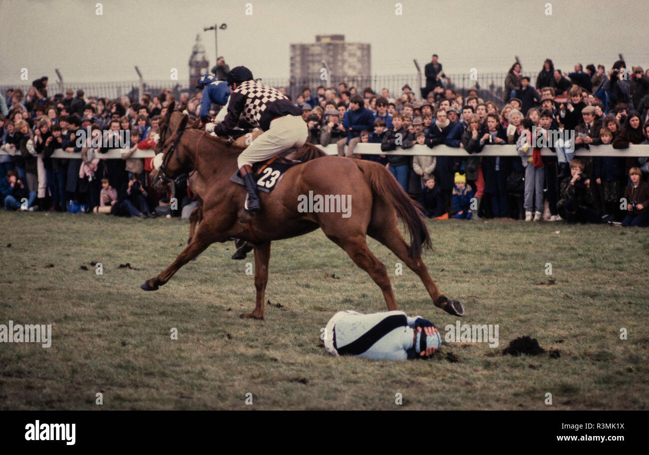 Grand National Rece incontro Eglinton Liverpool England Regno Unito 1986 cavalli salto oltre i Becher's Brook recinto dove molti cavalli è sceso. Foto Stock