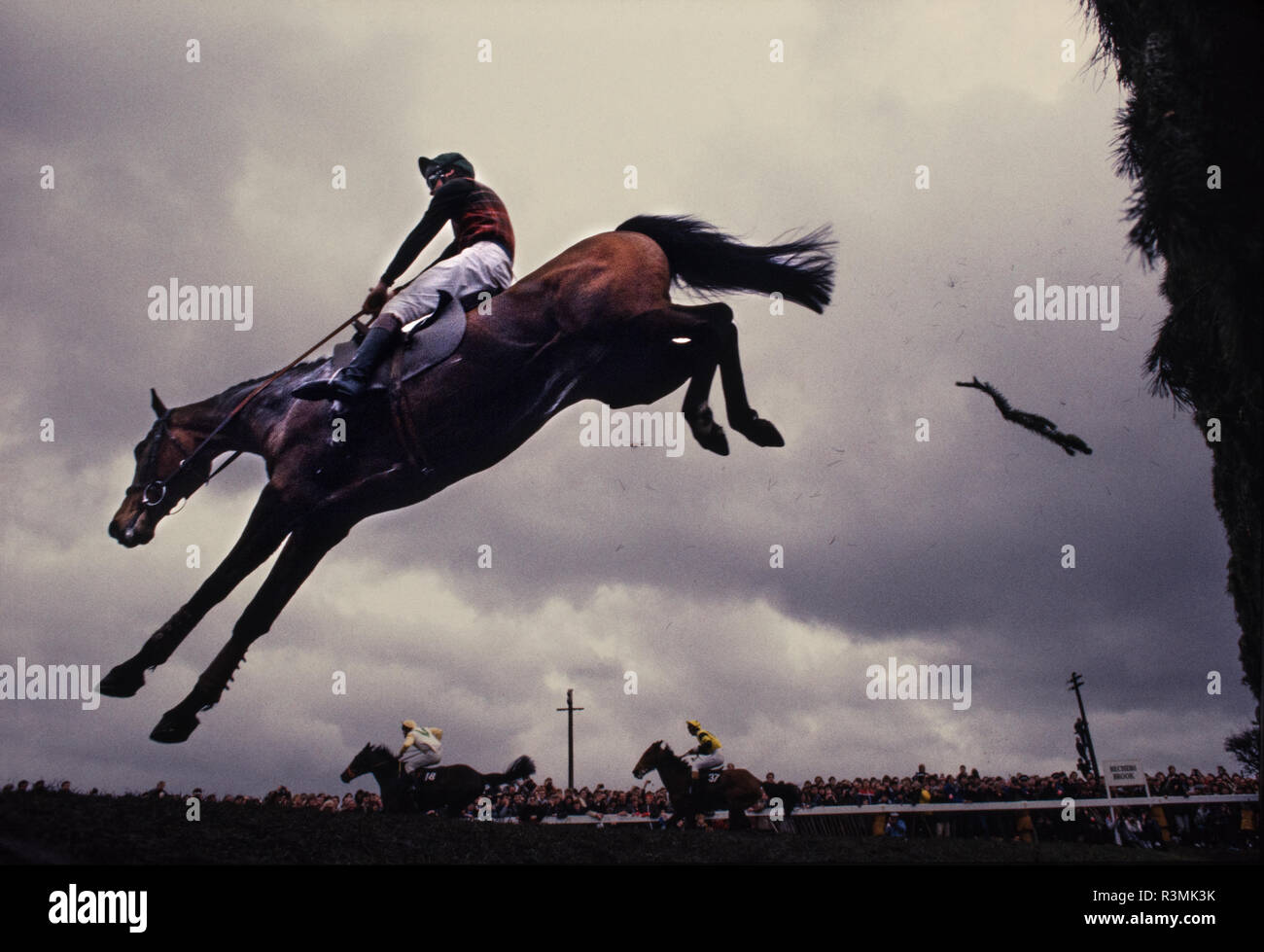 Grand National Rece incontro Eglinton Liverpool England Regno Unito 1986 cavalli salto oltre i Becher's Brook recinto dove molti cavalli è sceso. Foto Stock