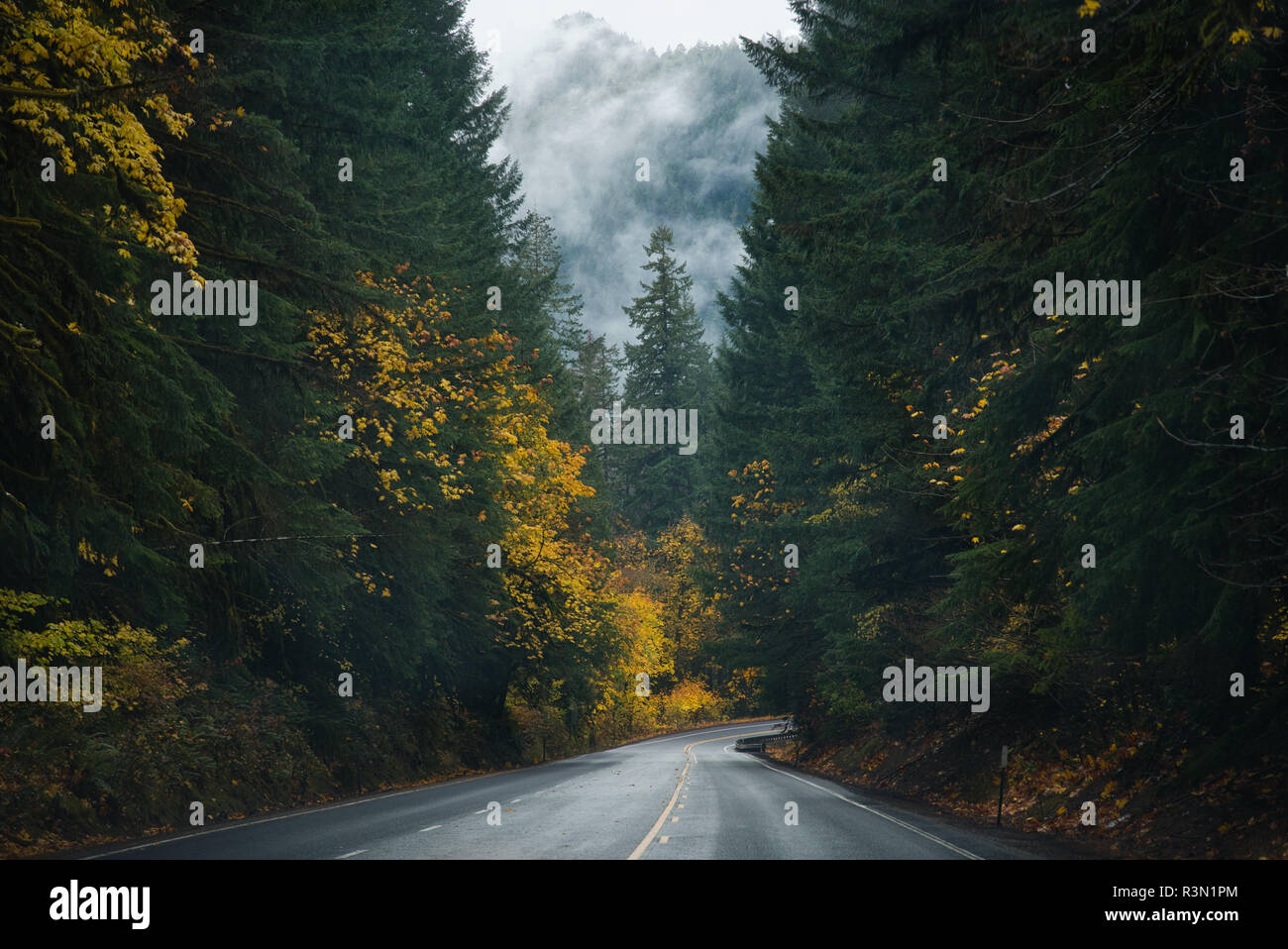 Foto della strada 58 su Oregon state in autunno Foto Stock