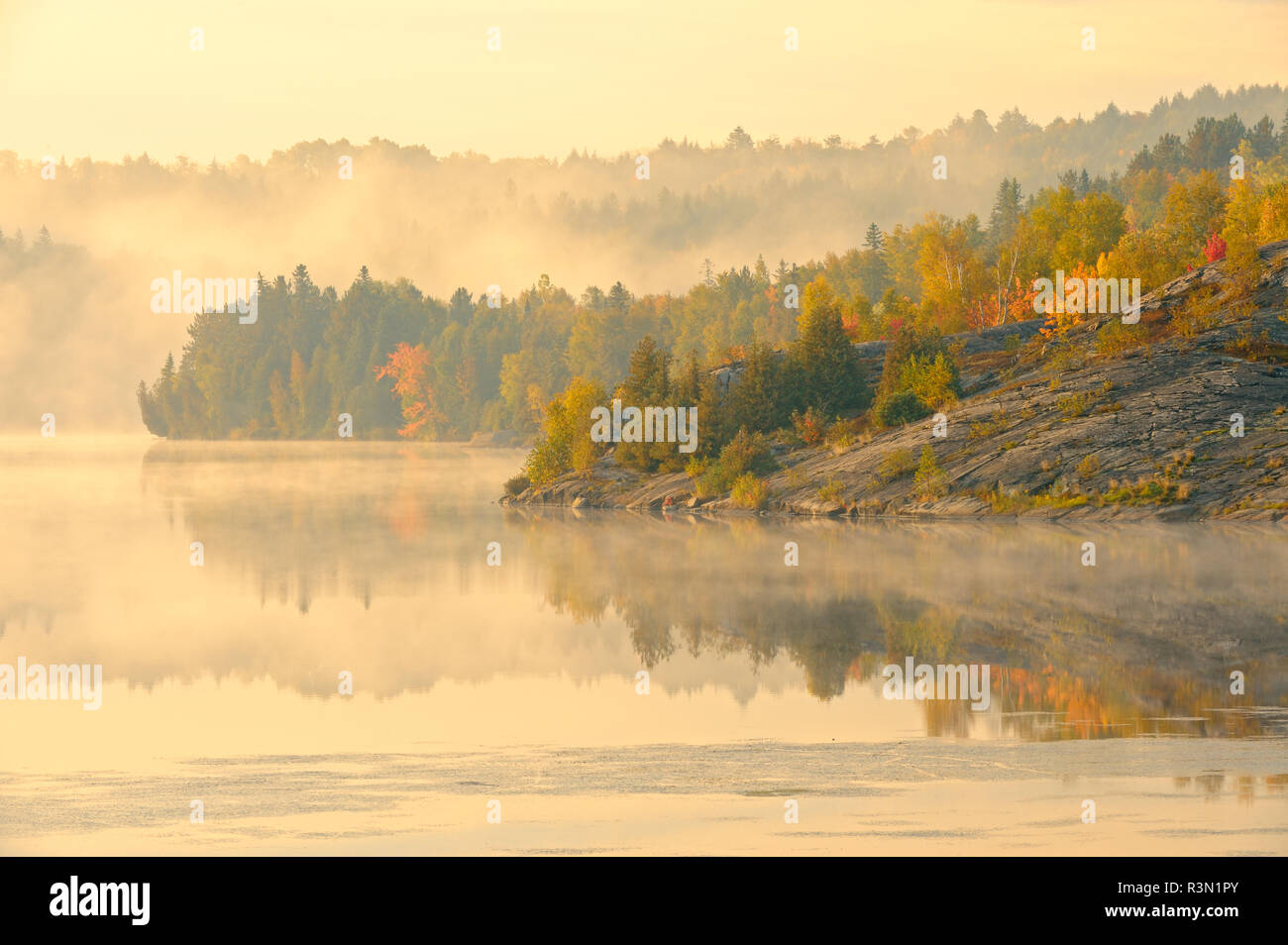 Canada, Ontario. Nebbia sul Lago di Simon in autunno. Simon Lake Park Area di conservazione. Foto Stock