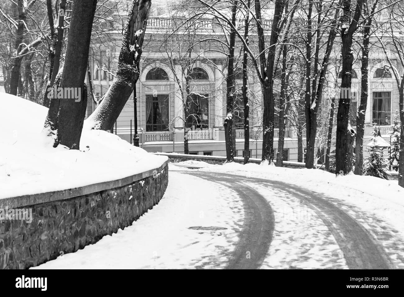 Snowy vialetto in un parco, Kiev. Foto Stock