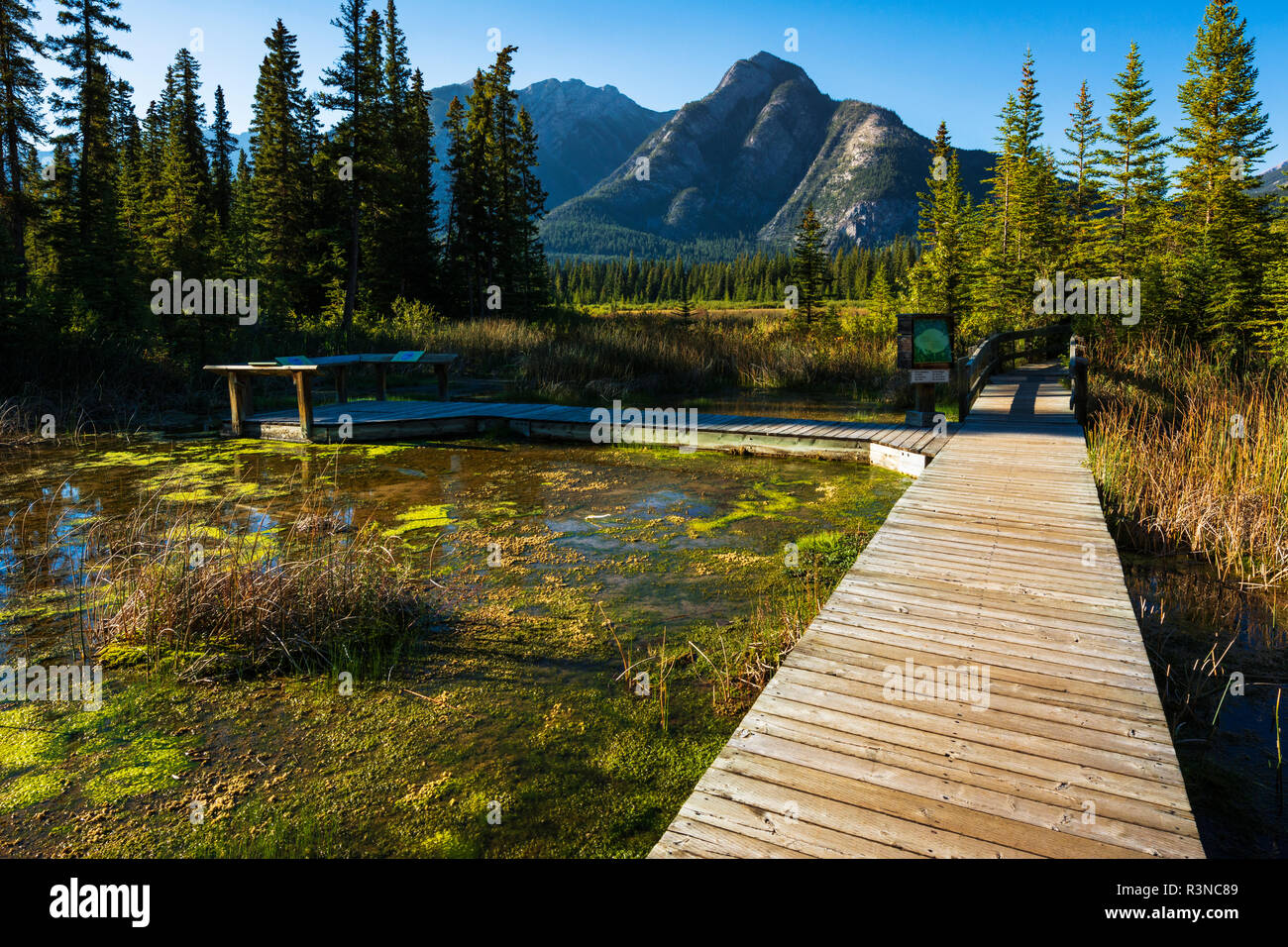 Il Boardwalk e indicazioni interpretative alla grotta e Basin National Historic Site, il Parco Nazionale di Banff, Alberta, Canada Foto Stock