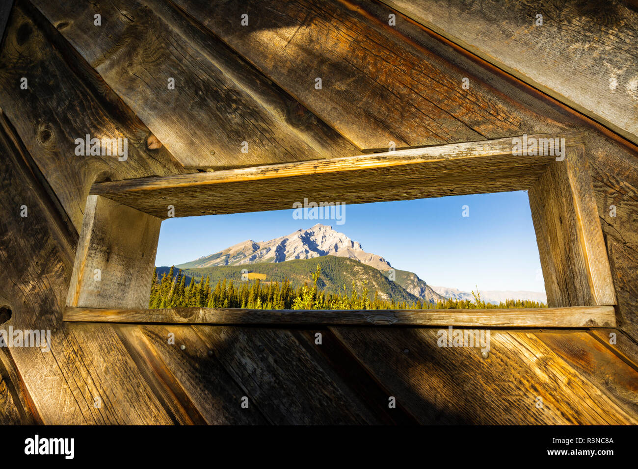 La visualizzazione della fauna selvatica ciechi alla grotta e Basin National Historic Site, il Parco Nazionale di Banff, Alberta, Canada Foto Stock