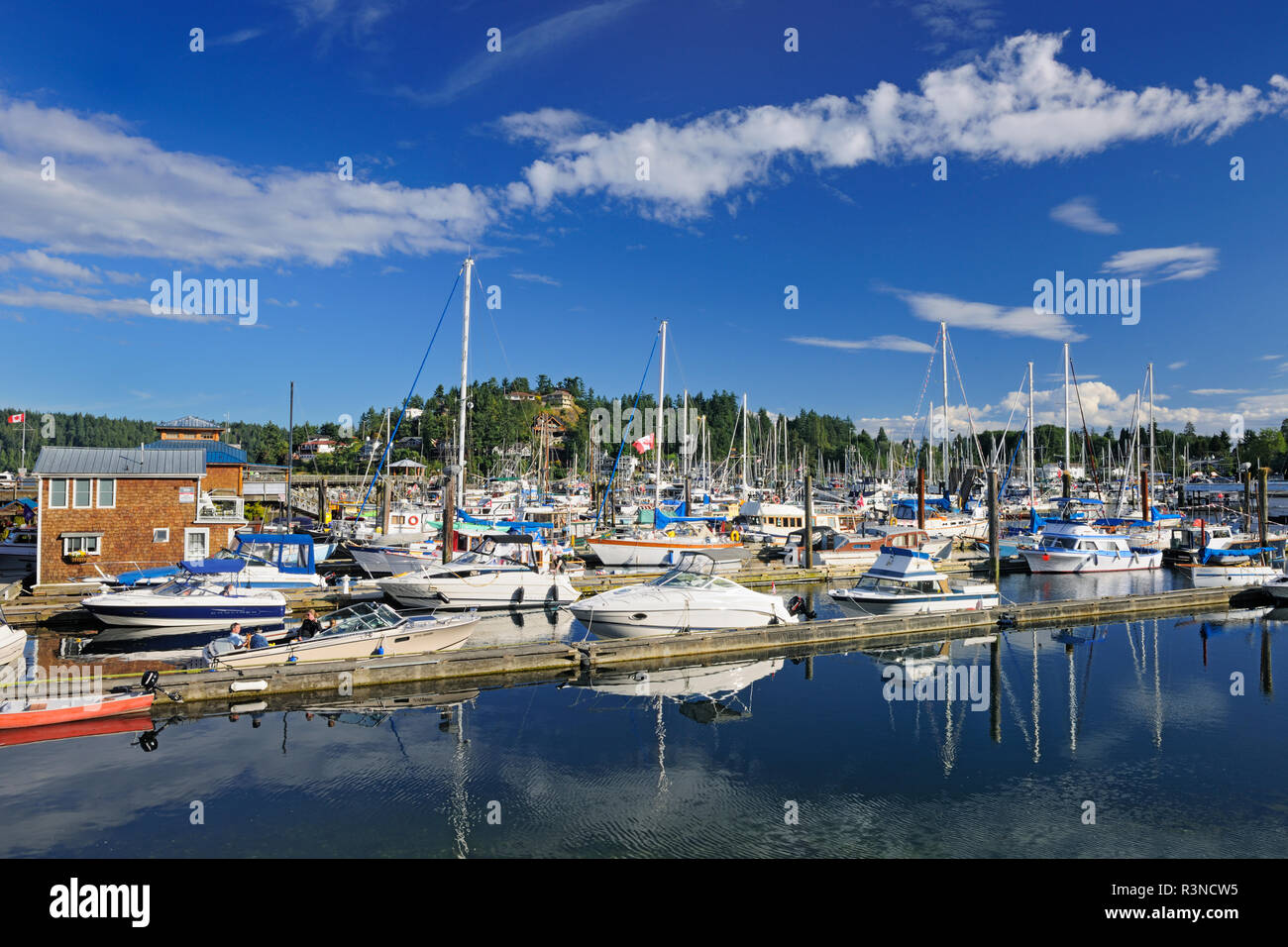 Canada, British Columbia, Gibsons. Barche a vela in marina. Foto Stock