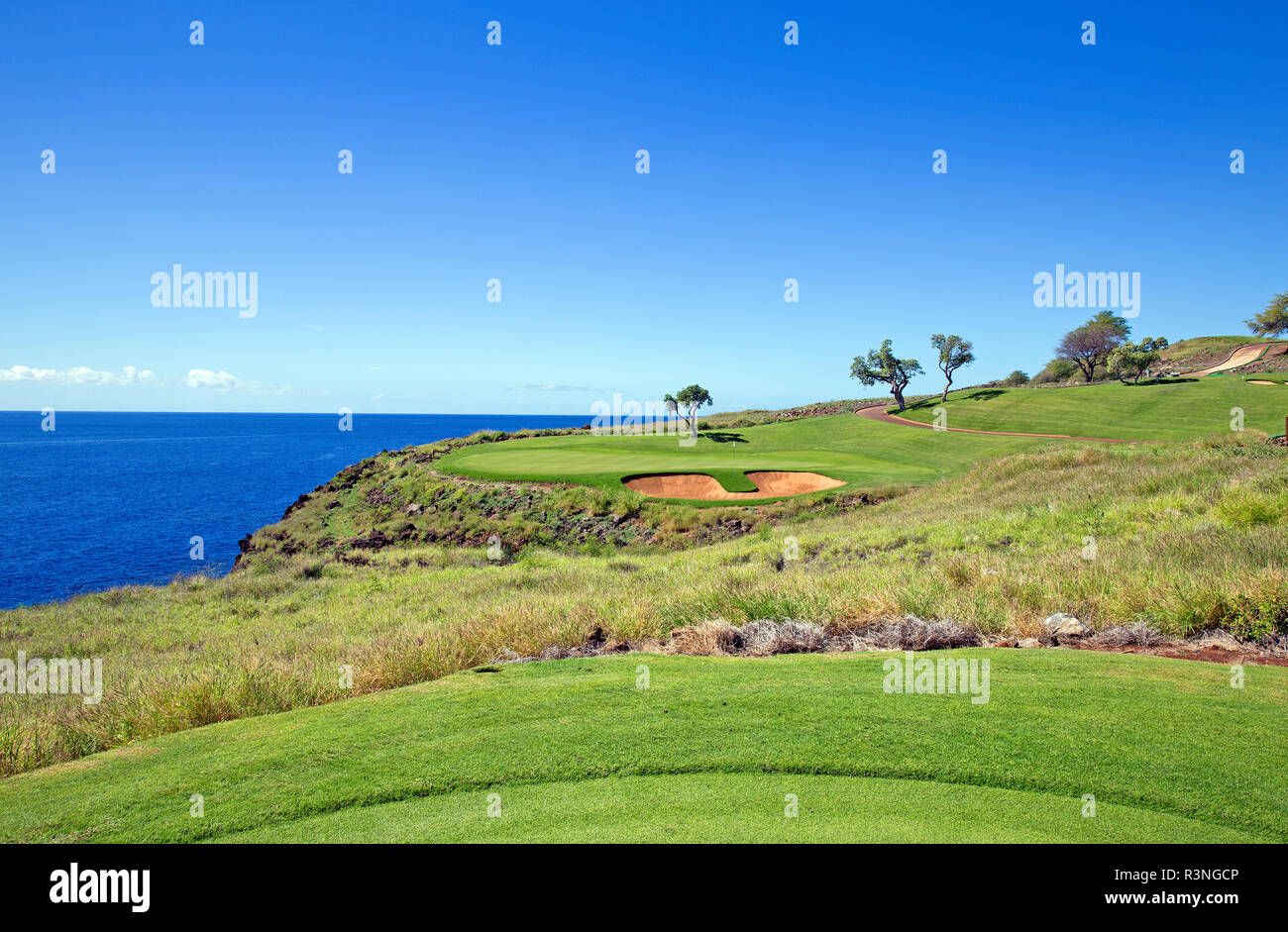Campo da golf sulla scogliera dall'oceano Foto Stock
