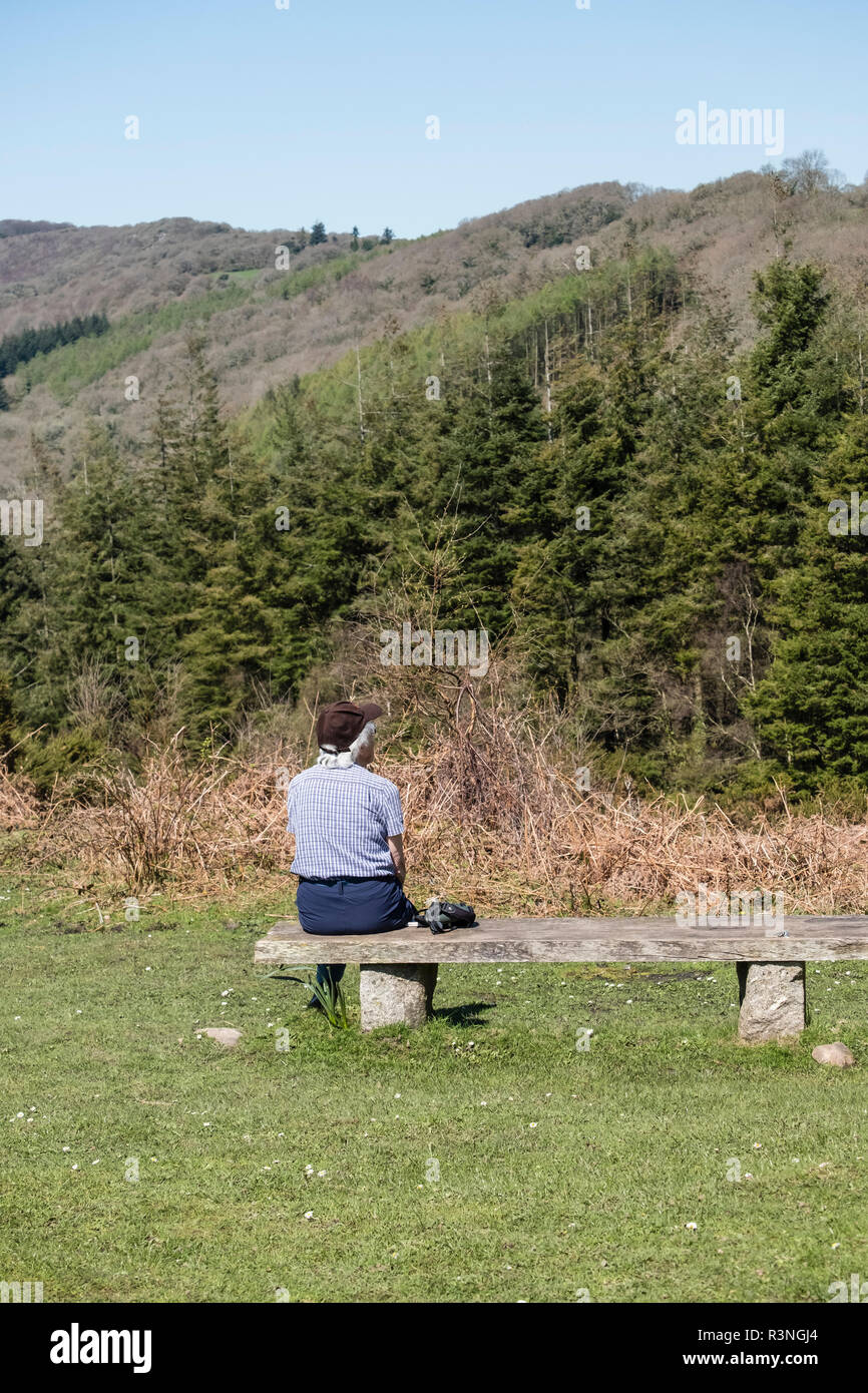 Signora seduta da sola su un sedile in legno in un paesaggio boscoso, Dartmoor Devon, Inghilterra, Regno Unito Foto Stock