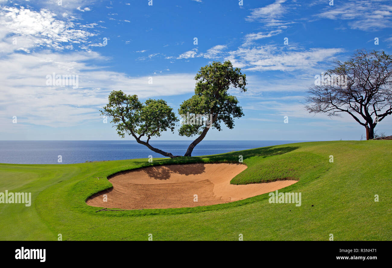 Campo da golf sulla scogliera dall'oceano Foto Stock