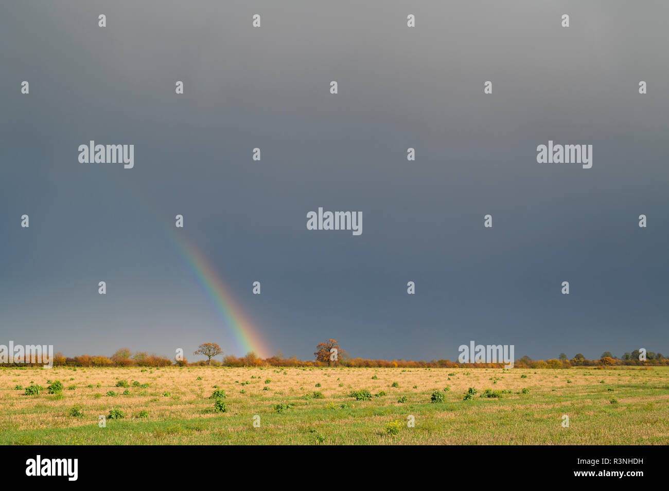 Autunno arcobaleno e dark cieli del Northamptonshire campagna. Regno Unito Foto Stock