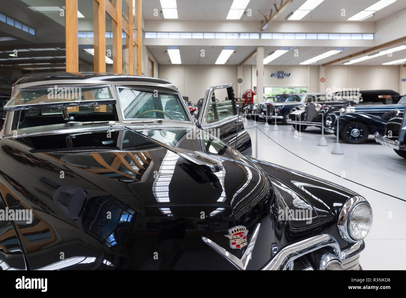 Nuova Zelanda, Isola del nord, Otaihanga. A sud il Museo delle auto, noi gangster Mickey Cohen's 1950 Cadillac corazzato Foto Stock