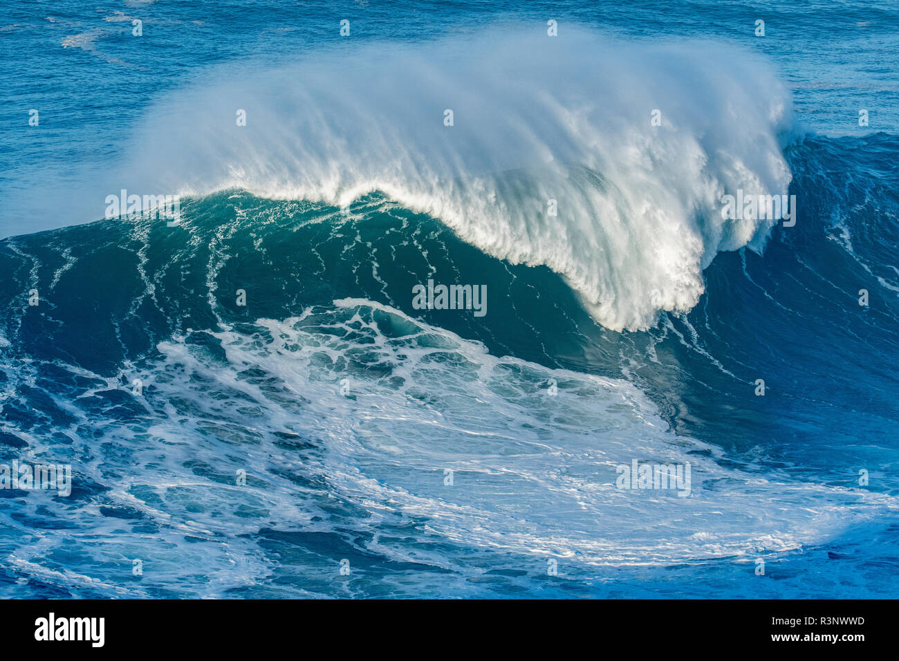 Un' enorme ondata di rottura in nazare, Portogallo. Foto Stock