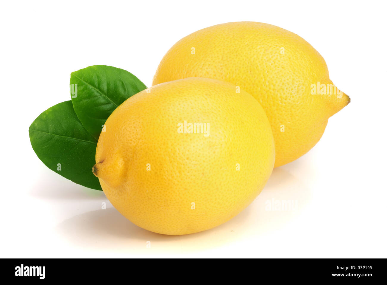 Limone frutti con foglie isolati su sfondo bianco Foto Stock