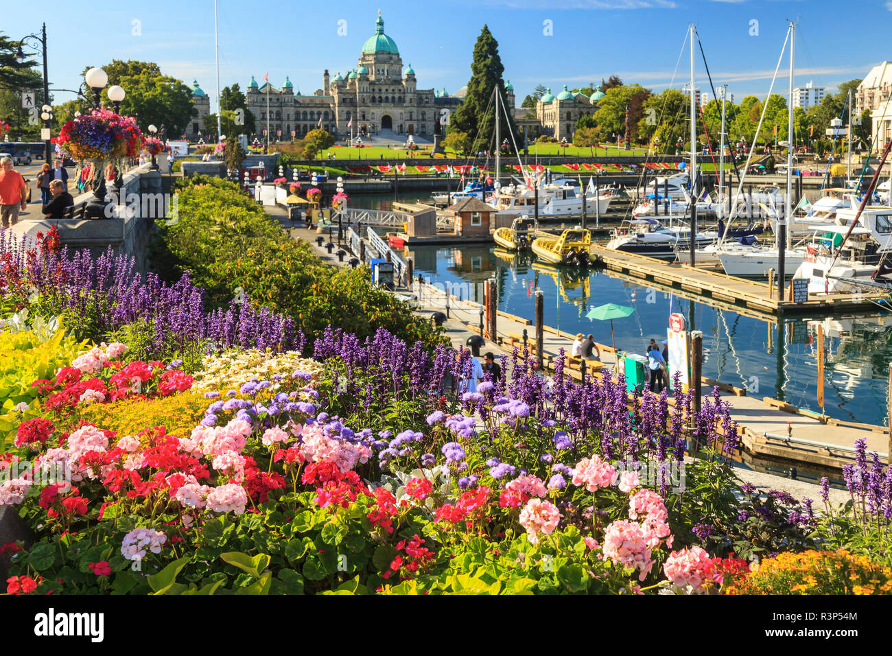 Fiori d'estate al porto interno, gli edifici del Parlamento europeo dietro, Victoria, capitale della British Columbia, Canada Foto Stock