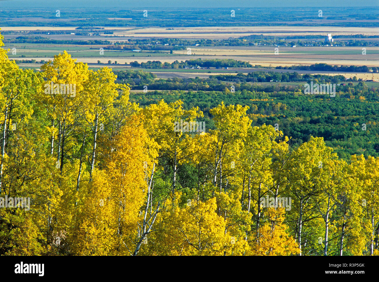 Canada, Manitoba, Equitazione Mountain National Park. Foresta di autunno si affaccia su terreni agricoli. Foto Stock