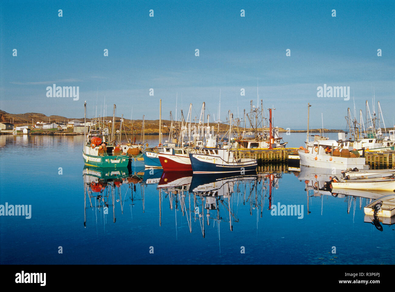 Canada, Terranova, oca Cove. Barche da pesca in porto. Foto Stock