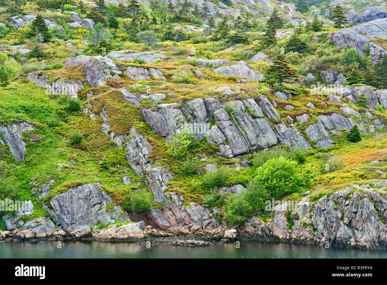 Canada, Terranova, quidi vidi. Rocky il paesaggio costiero. Foto Stock