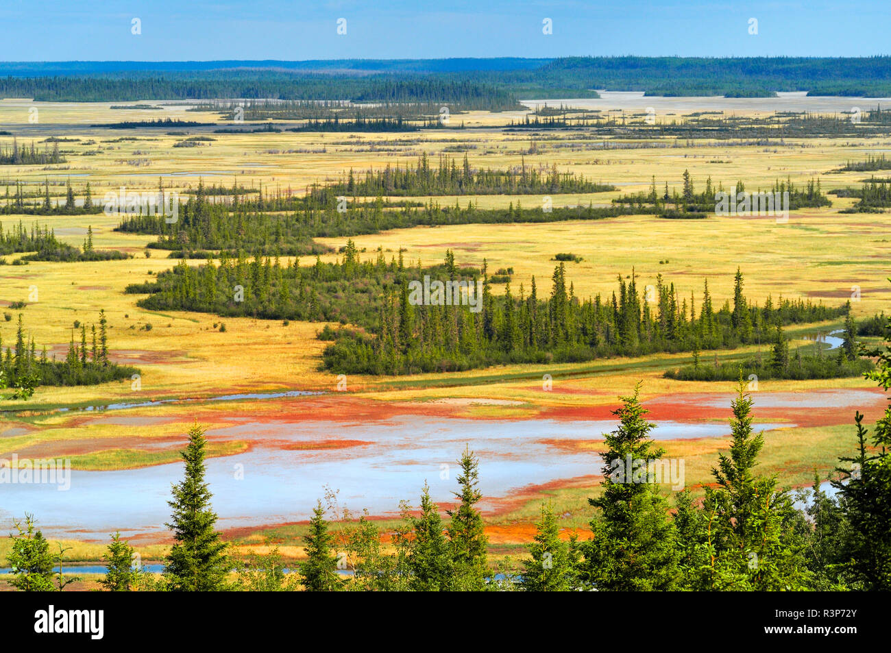 Canada, Northwest Territories, Parco Nazionale Wood Buffalo. Pianura di sale e paesaggio forestale. Foto Stock