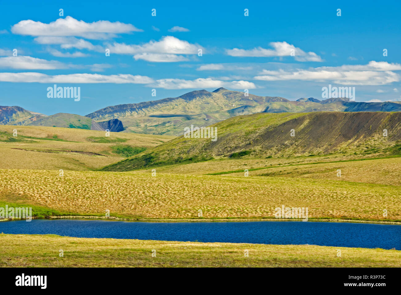 Canada, Northwest Territories. Paesaggio di Dempster Highway. Foto Stock