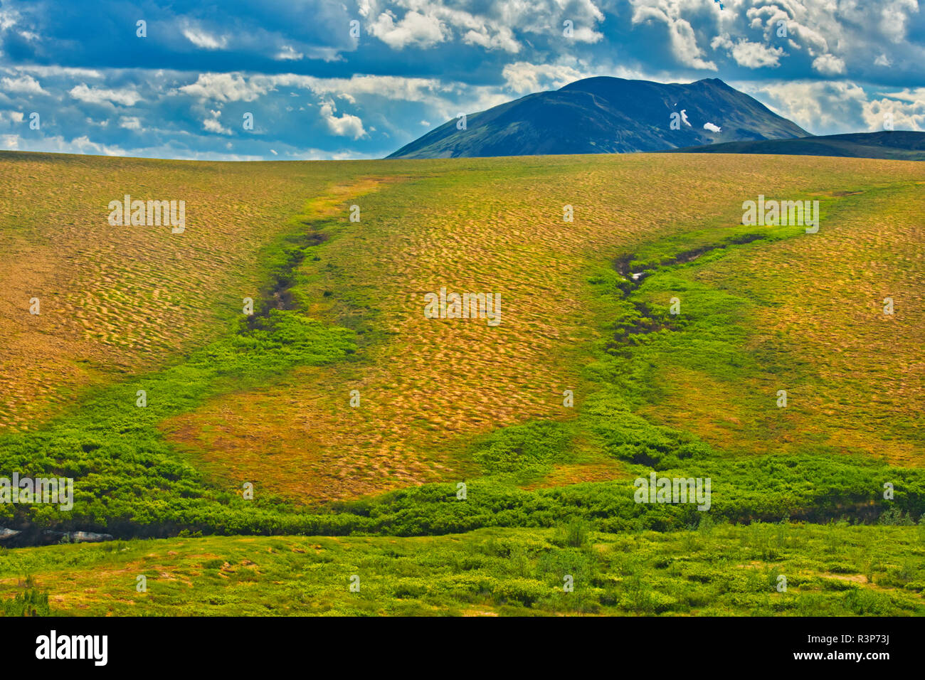 Canada, Northwest Territories. Paesaggio di Dempster Highway. Foto Stock