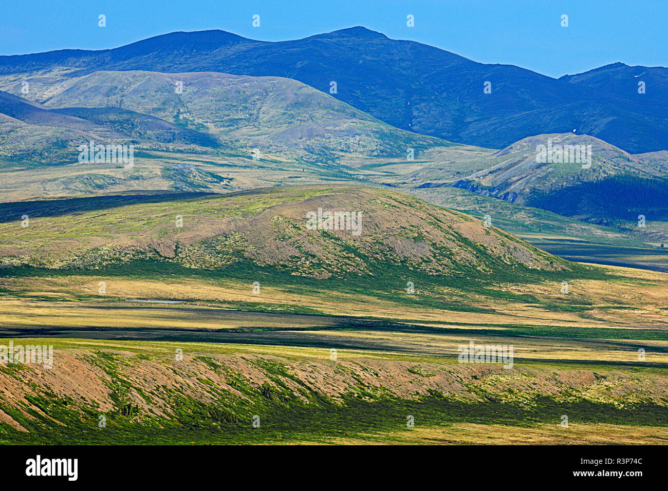 Canada, Northwest Territories. Richardson Montagne Paesaggio. Foto Stock