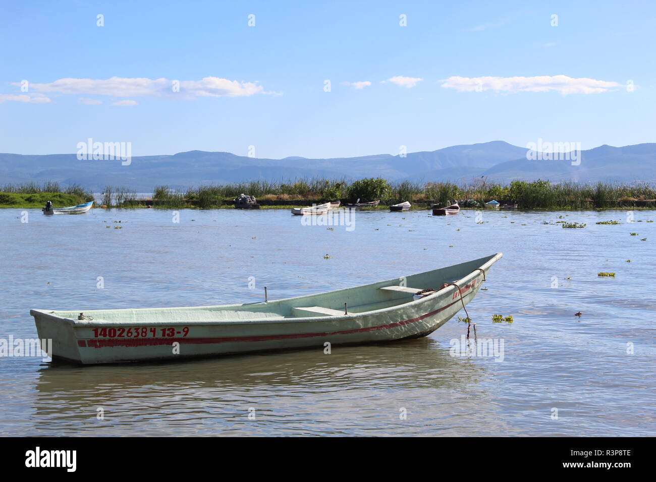 Foto tomada en Chapala,jalisco,México en la que se aprecia onu bote de pesca anclado en la orilla del lago al fondo se ve la isla de los alacranes Foto Stock