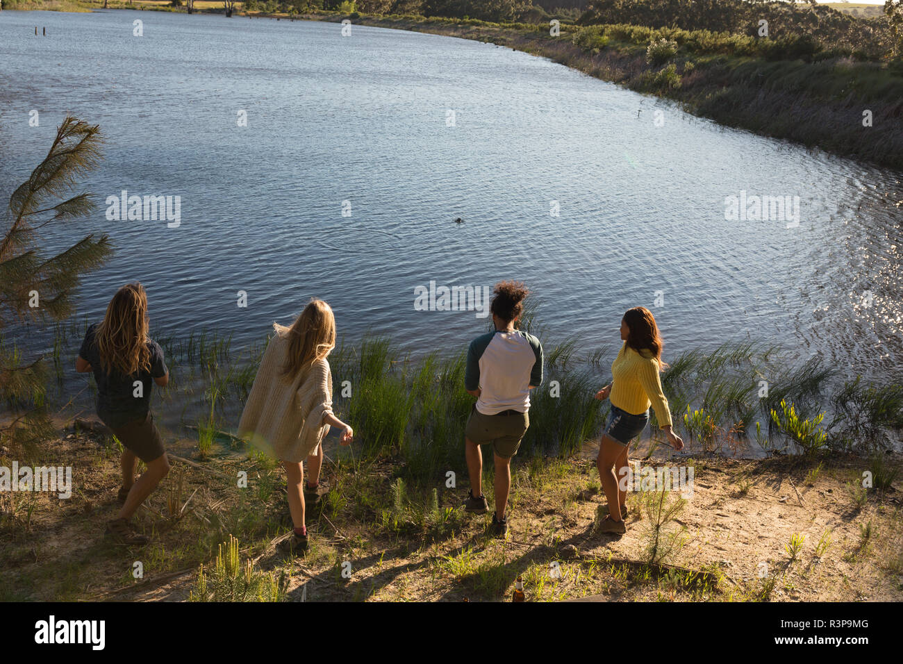 Gruppo di amici divertendosi vicino al lago Foto Stock