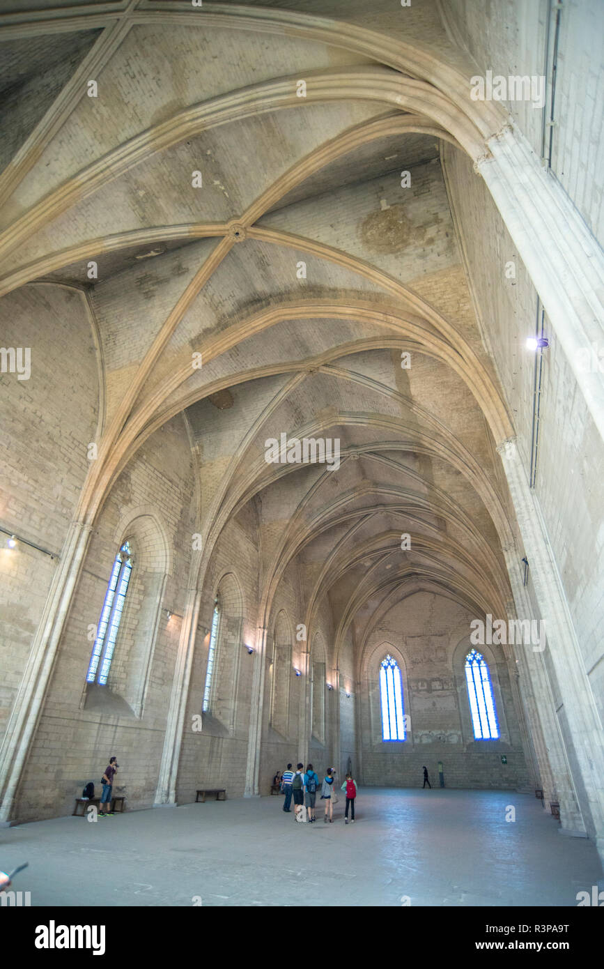 Grand Cappella, Papa's Palace, Avignon, Francia Foto Stock