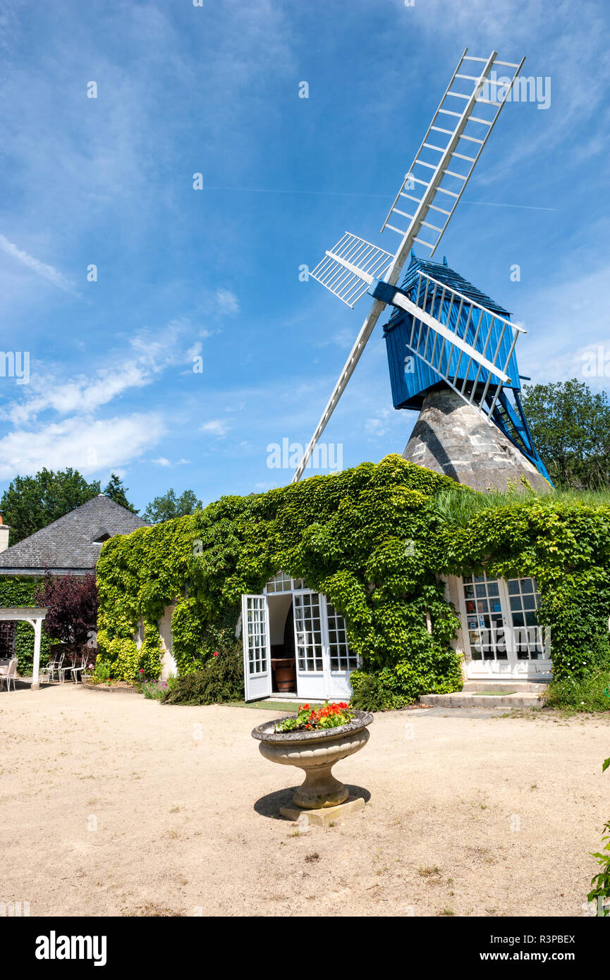 Le Moulin Bleu, Bourgueil, Valle della Loira, Francia Foto Stock