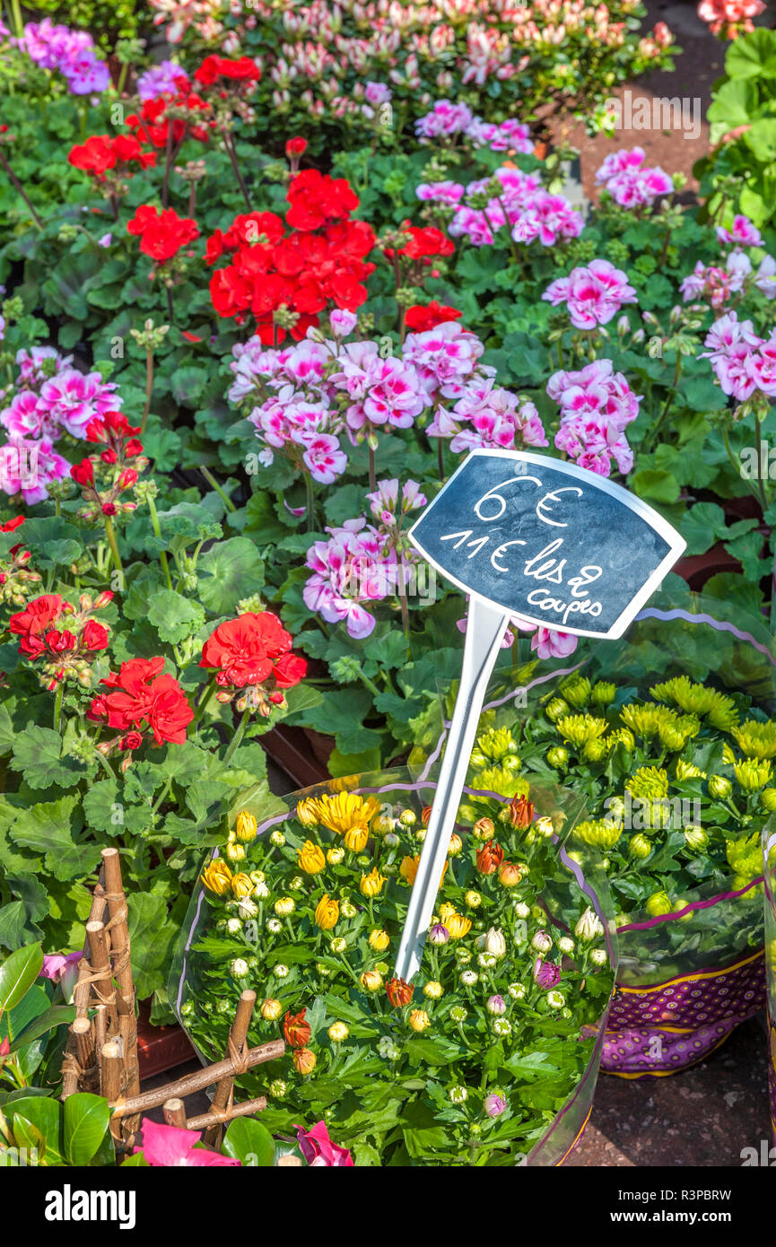 Il mercato dei fiori, Bayeux, Normandia, Francia Foto Stock