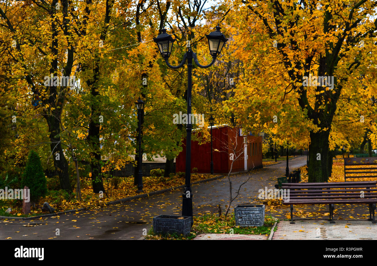 Giallo autunno tempo Foto Stock