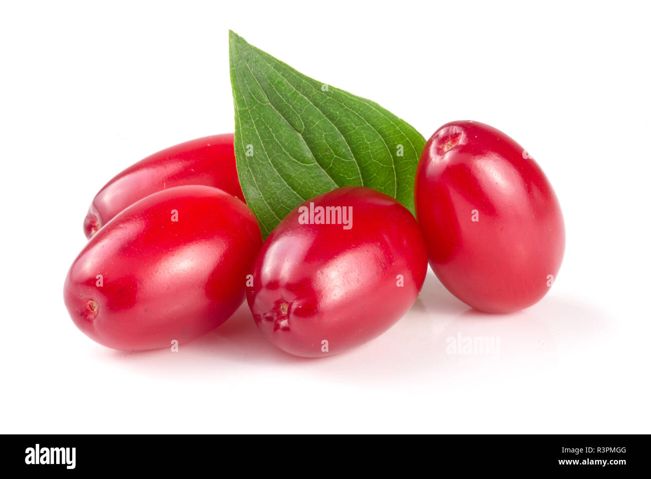 Sanguinello berry con foglie isolati su sfondo bianco Foto Stock