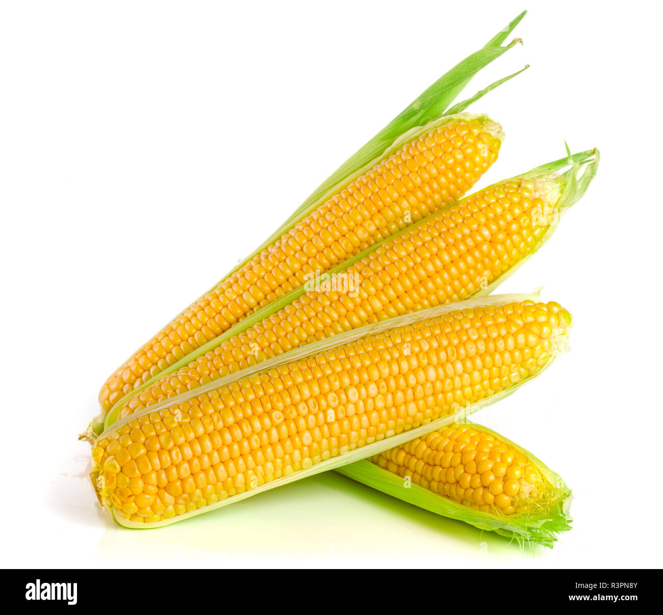 Spiga del granoturco isolato su uno sfondo bianco Foto Stock