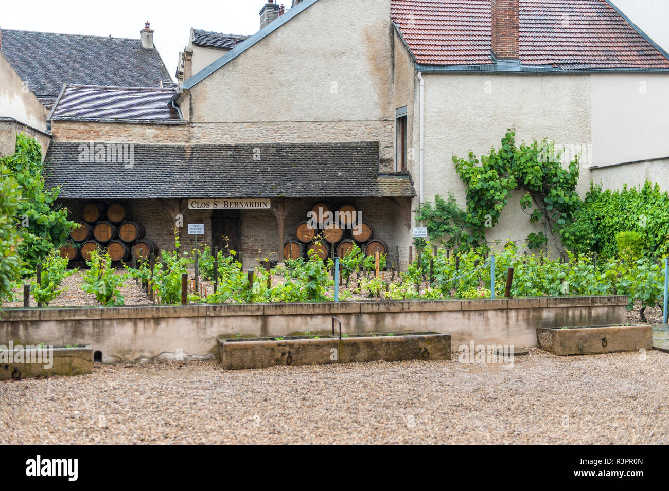 Clos S' Bernardin vigneto e della cantina, Beaune, Borgogna, Francia Foto Stock