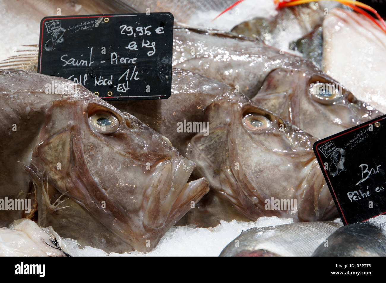 Pietro pesce sul mercato Foto Stock