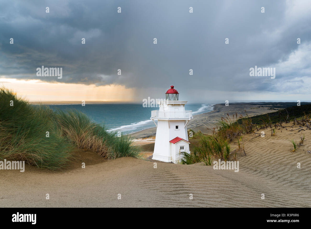 Nuova Zelanda, Isola del nord, Kaipara Capo Nord, punto Pouto, FARO Foto Stock
