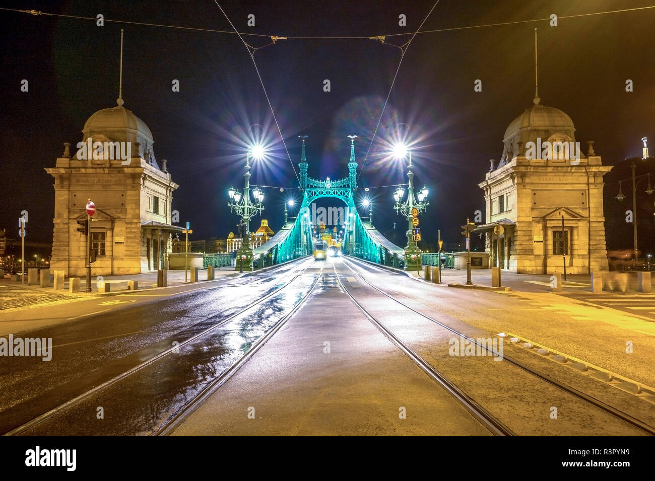 Ungheria, Budapest, Ponte della Libertà di notte Foto Stock