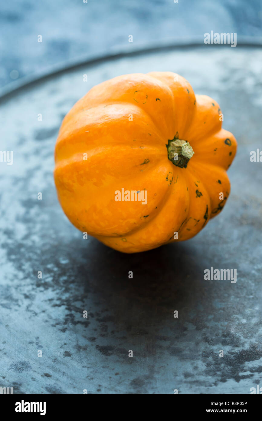 Zucca ornamentale Foto Stock