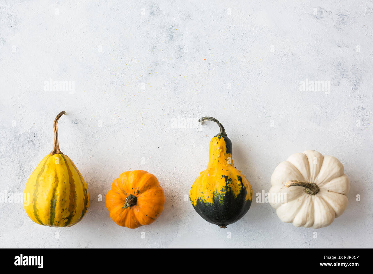 Fila di rrnamental zucche Foto Stock